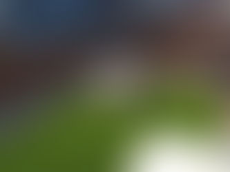 Expert Tips for Maintaining Your Pacific Northwest Synthetic Turf