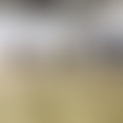 AUSWÄRTSSIEG!!! ULM 55 - BG ILLERTAL 66!!!