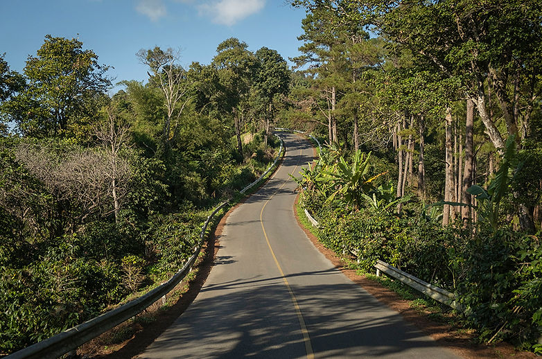 Doi Tung (14) low.jpg