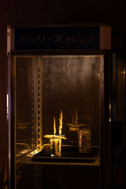 ヒエガエリ・グラス・ビールの缶・かつて酒屋で使われていた冷蔵庫