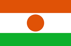 Flag_of_Niger.svg.png