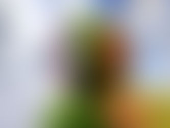 Transformation Takes TIME