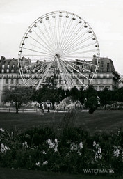 TOULIERIES+4-color-enhance.jpg