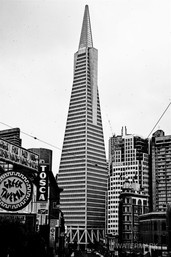 Transamerica 2.jpg