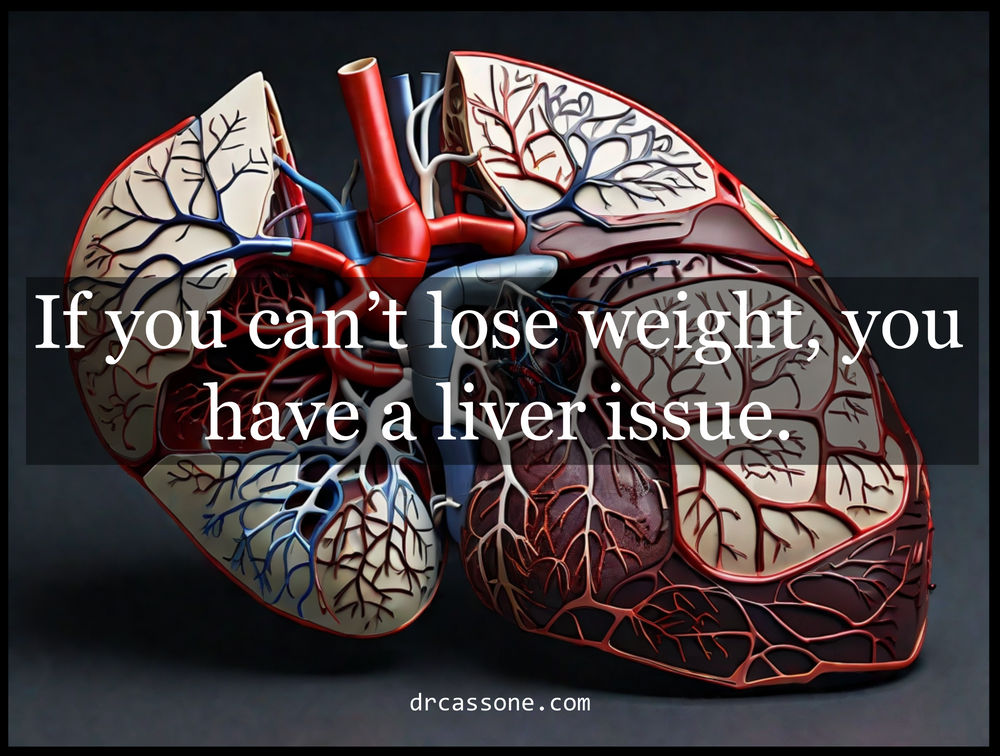 Problems with the liver can result in higher insulin levels that