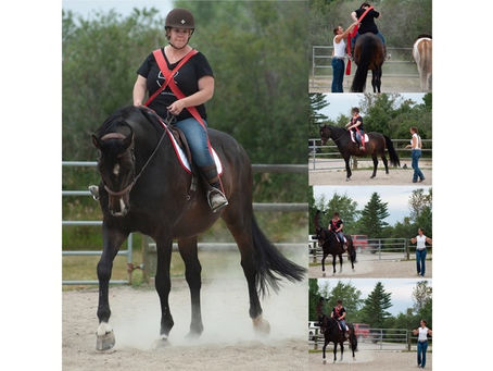 Horse and Rider Refinement