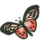 Illustration eines roten Schmetterlings.