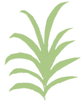 Illustration eines grünen Palmwedels.