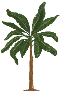 ponykarussell-palme