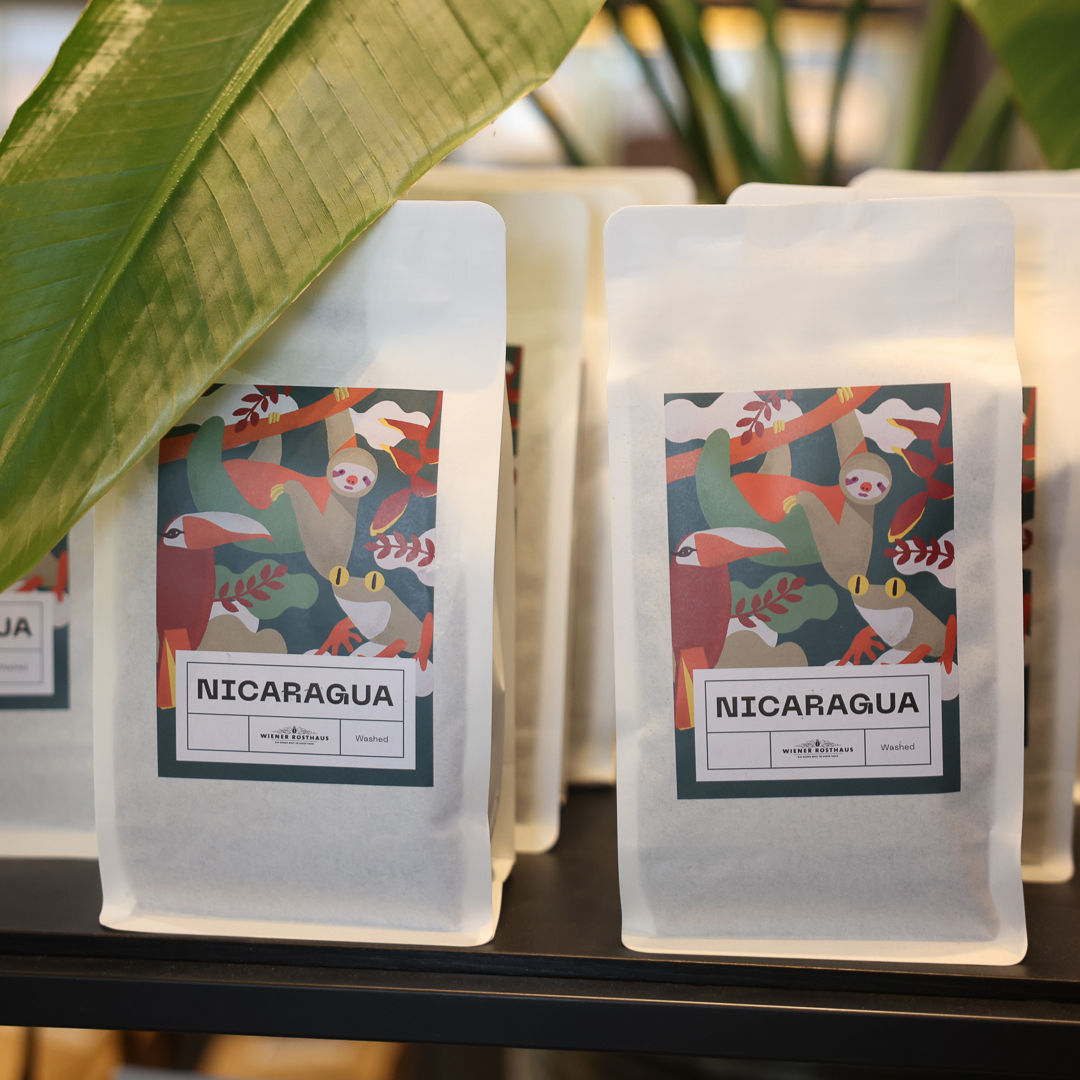 NICARAGUA Miraflor Esteli