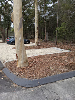 PXL_20201211_021259357