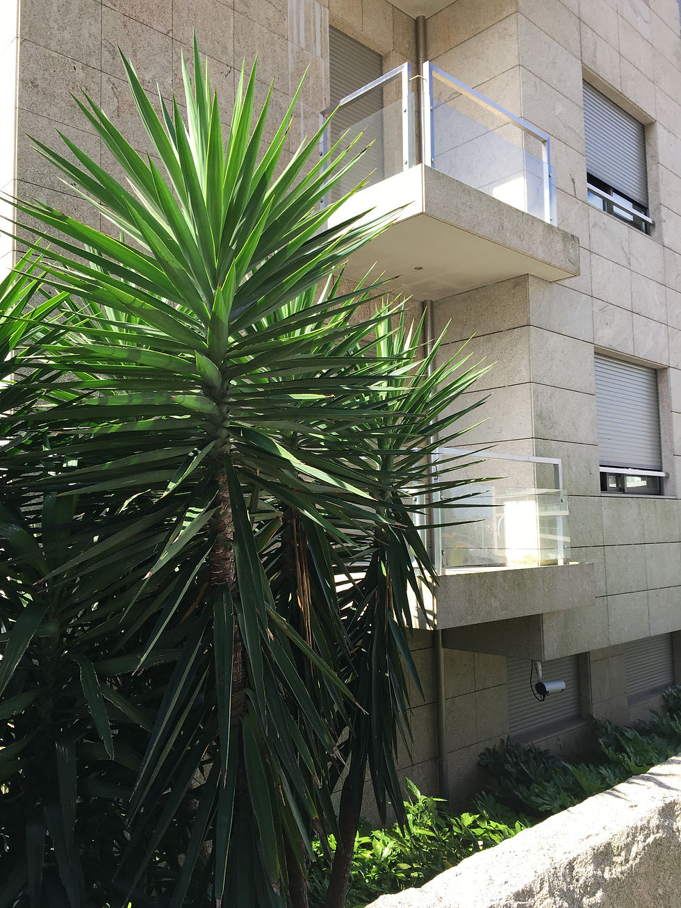Visconde Condominio