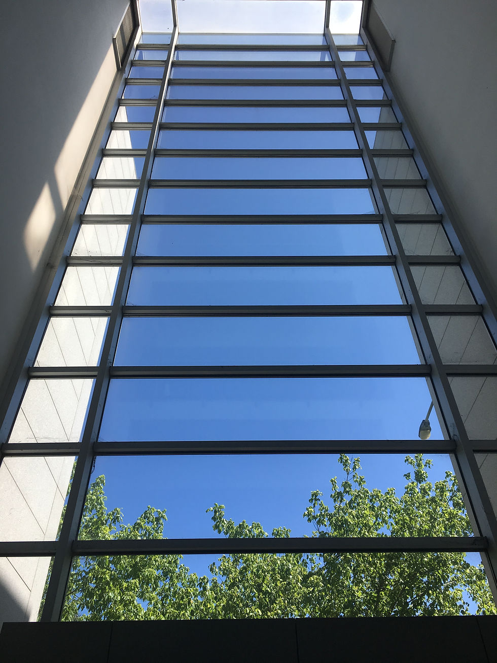 Visconde Condominio
