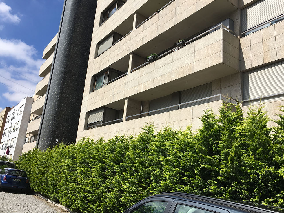 Visconde Condominio