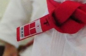 Miniatura: Patch de Graduação | Modelo Kodokan