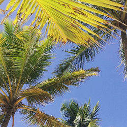 The Caribbean views were unreal 🍹🌴#lan