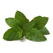 La menthe poivrée