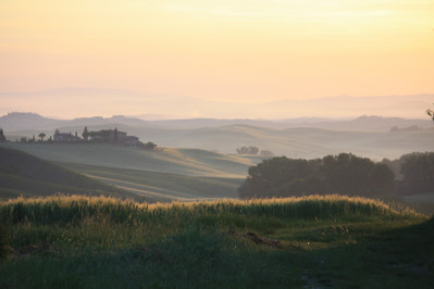 Morning in the Country side