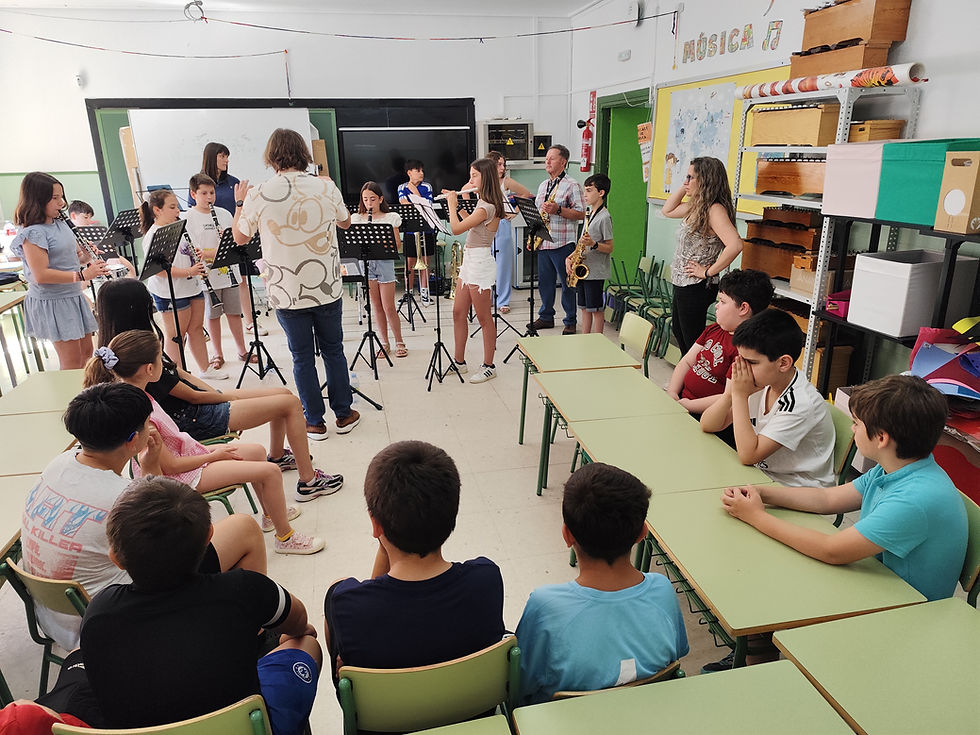 Conciertos didácticos musicales
