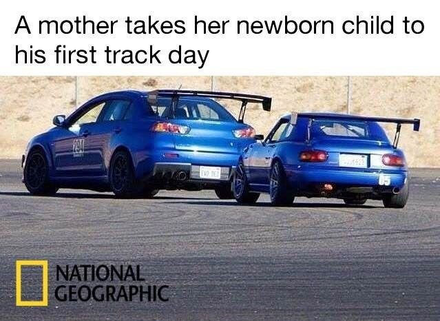 Funny Car Memes
