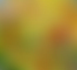 התוספות שישדרגו לכם את הסלט