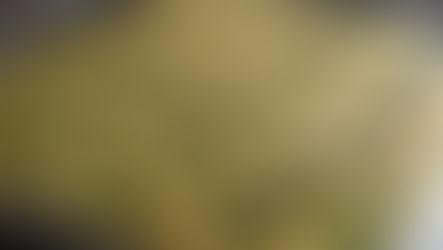 פלאפל ביתי הכי טעים וטחינות נפלאות