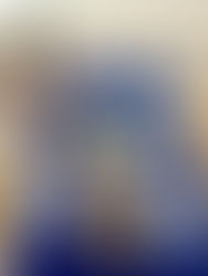 ראפ עוף וגוואקמולי