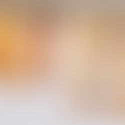 המדריך המלא להכנת פירות יבשים בבית