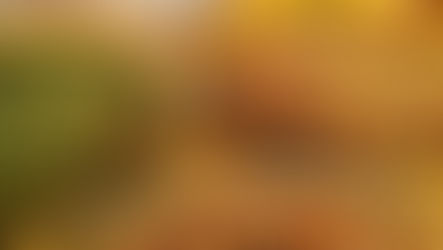 בצק פריך לקיש- טיפים, שדרוגים ומתכונים