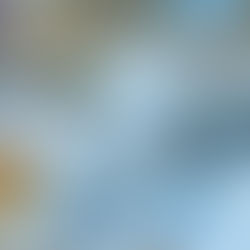 טיפים והתארגנות לליל הסדר