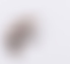 Etapes et attitudes dans le conflit