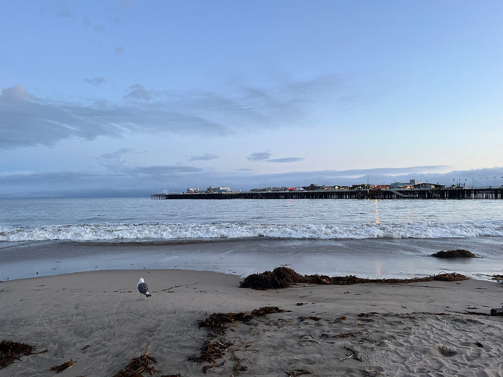 Santa Cruz
