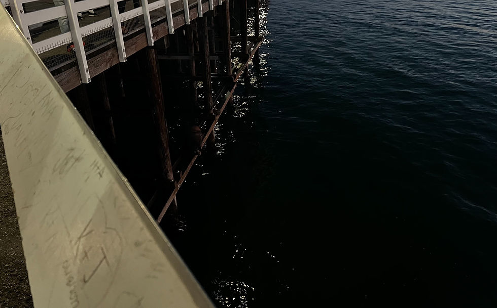 Overlooking Santa Cruz Wharf