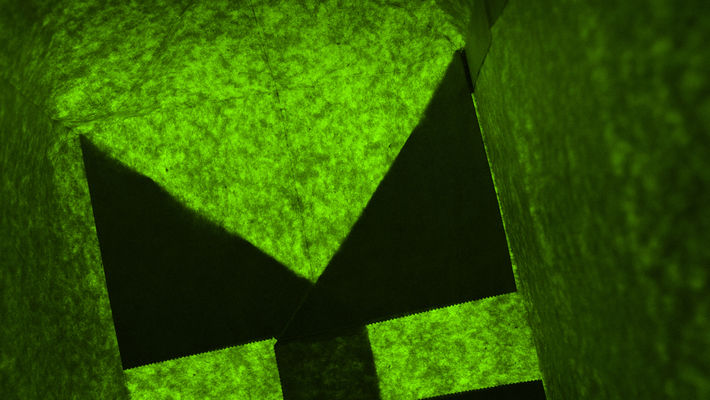 © Monochromes Verts, Thierry Géhin – 2021