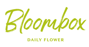 bloombox_logo_cmyk_out (1)-01.png