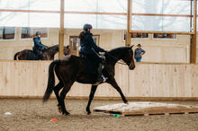 D5650183-E21E-4EB8-8E2B-CCC1EE167049.jpeg