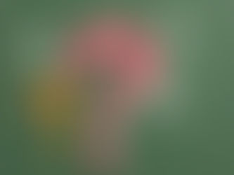 Choosing the Right Insulation Company Matters in Sarasota