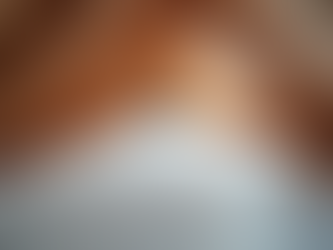 Radiant Barrier Pricing Guide: Understanding the Costs of Radiant Barrier Installation