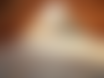 Understanding Attic Insulation Pricing: A Homeowner’s Guide