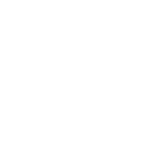 white+arrow+gif.gif