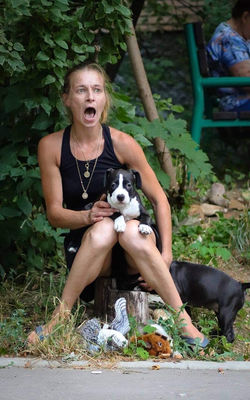 стаффордширский терьер