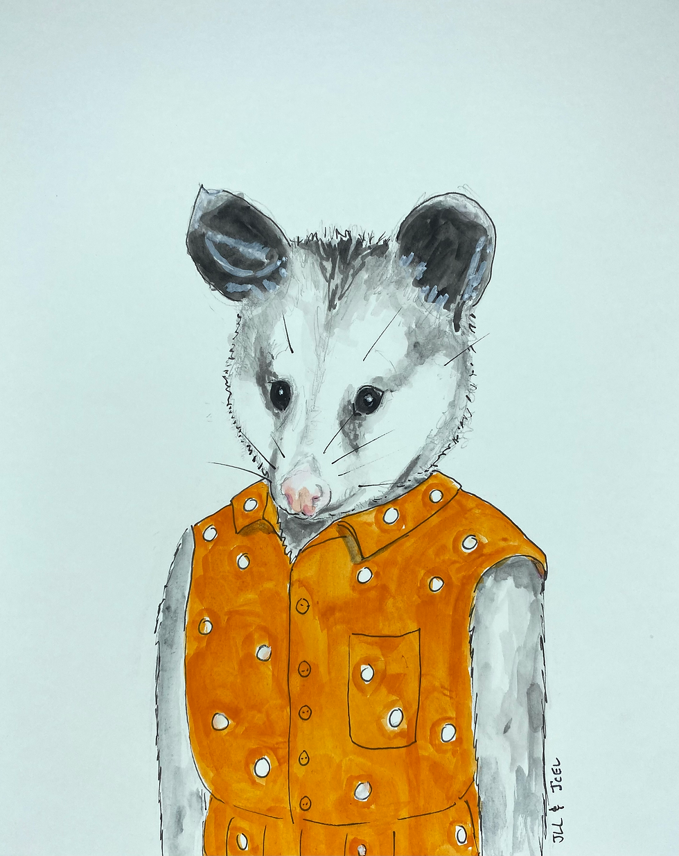 Honest Animal: Virginia Opossum