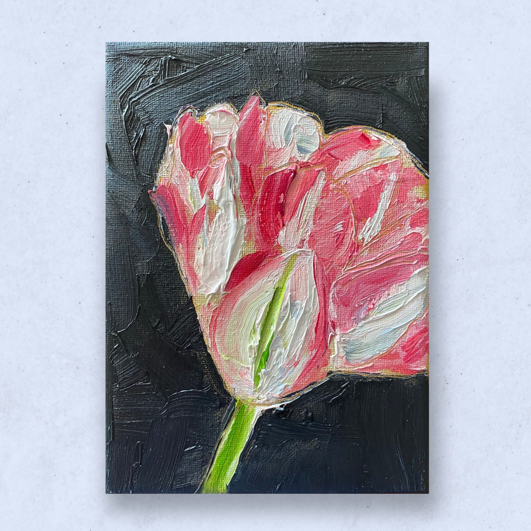 Angelic Tulip by Jaime Lee Lightle