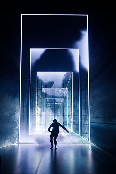 The Doors of Perception, Maxim Didenko