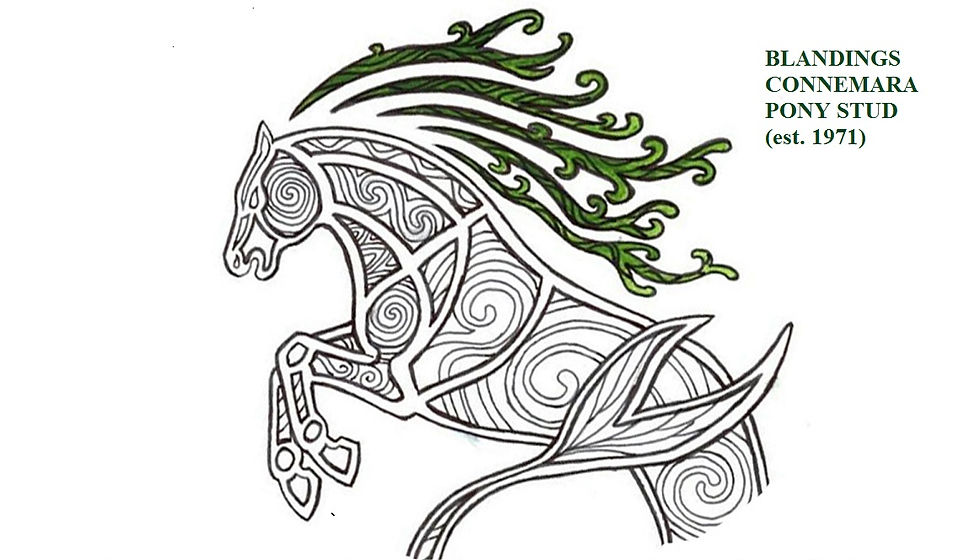 newlogo4