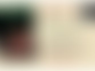 Sky Train: Tibetan Women On The Edge of History