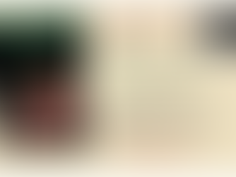 Sky Train: Tibetan Women On The Edge of History