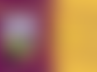 Semshae CD Release party in Berkeley