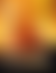 The Sun behind the Clouds - Tibet's Struggle for Freedom