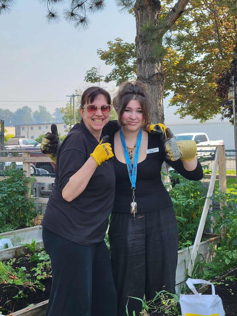Baillie Garden Harvest